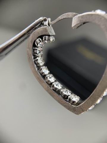 YSL Earrings 05lyh256 (6)