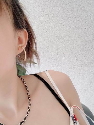 YSL Earrings 05lyh257 (7)