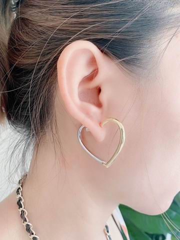 YSL Earrings 05lyh257 (8)