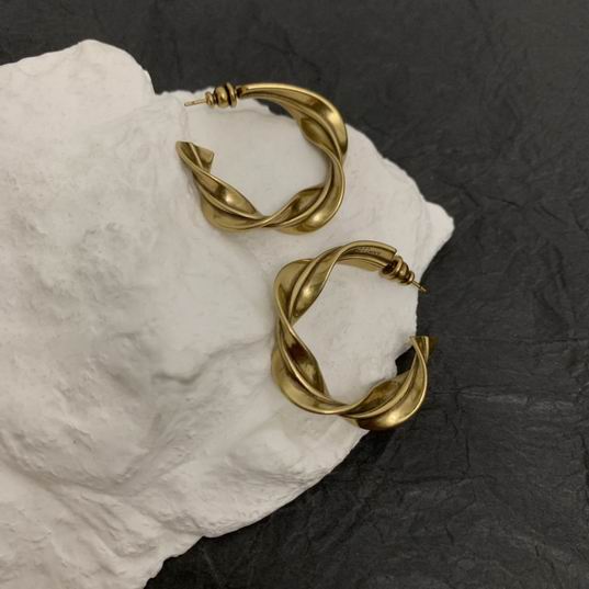 YSL Earrings 05lyh262 (2)