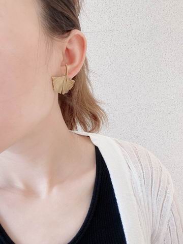 YSL Earrings 05lyh263 (8)