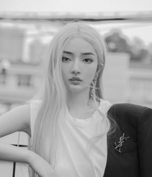 YSL Earrings 05lyh271 (3)