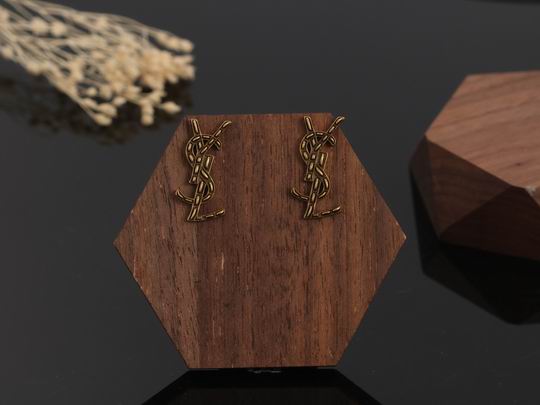 YSL Earrings 05lyh273 (3)