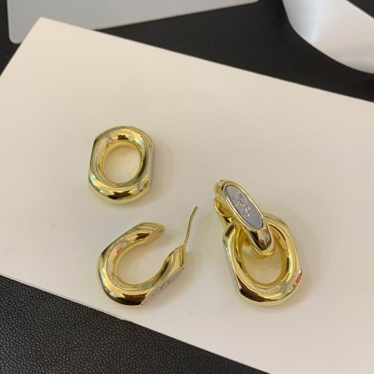 YSL Earrings 05lyh287 (3)