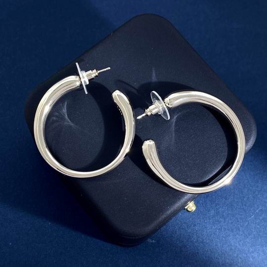 YSL Earrings 06lyh299 (1)