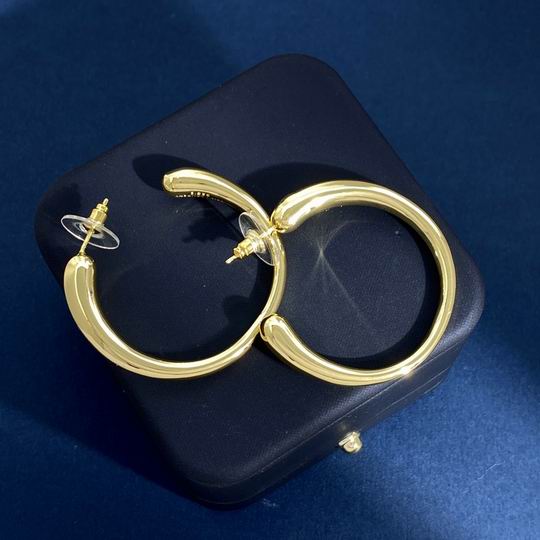 YSL Earrings 06lyh299 (2)