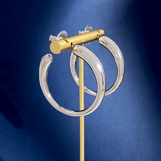 YSL Earrings 06lyh299 (3)