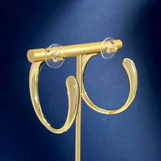 YSL Earrings 06lyh299 (4)