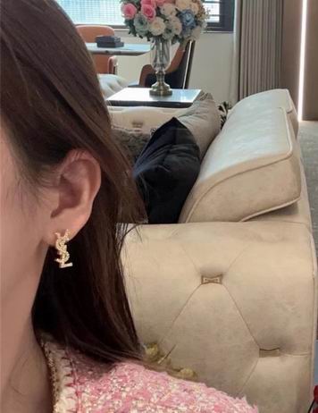 YSL Earrings 06lyh314 (6)