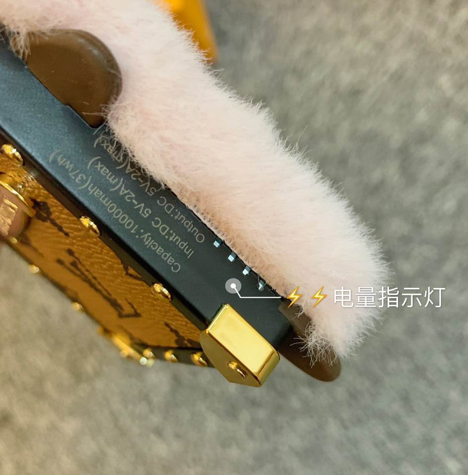 LV keyring 黄花小熊 (7)