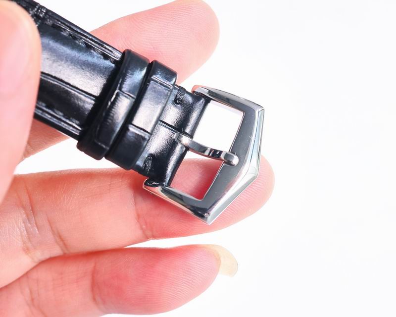 Patek Philippe watch 14 (1)