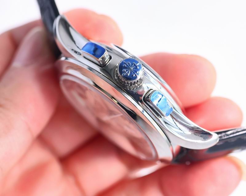 Patek Philippe watch 14 (14)