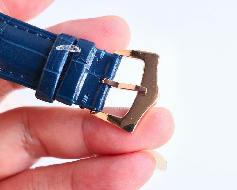 Patek Philippe watch 14 (20)