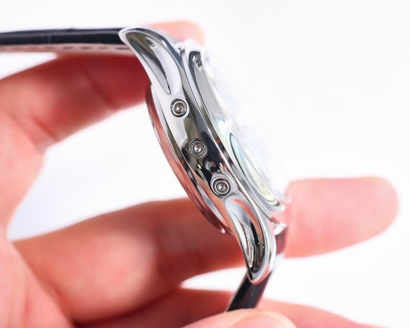 Patek Philippe watch 14 (4)