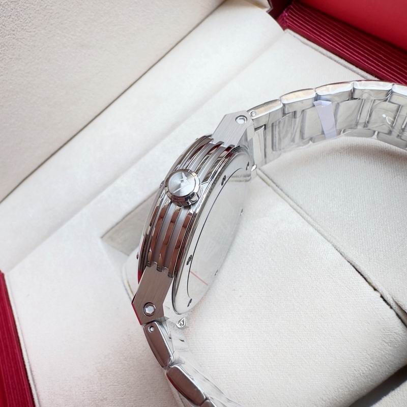 Ferragamo 43mm 24 (95)