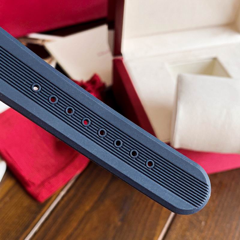 Ferragamo watch 31 (14)