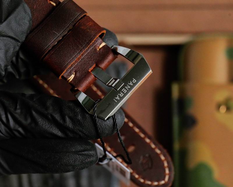 Panerai watch 47 (12)