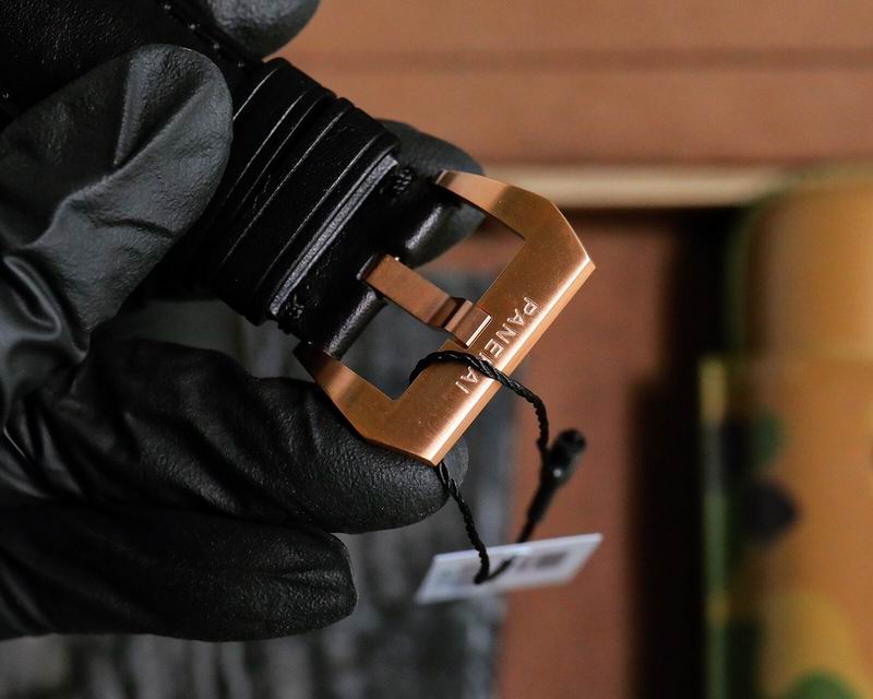 Panerai watch 47 (3)