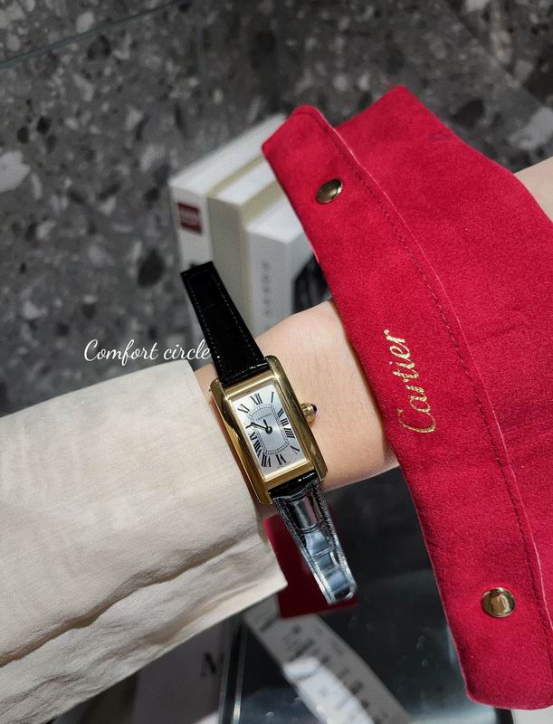Cartier 20X35mm 24 (1)