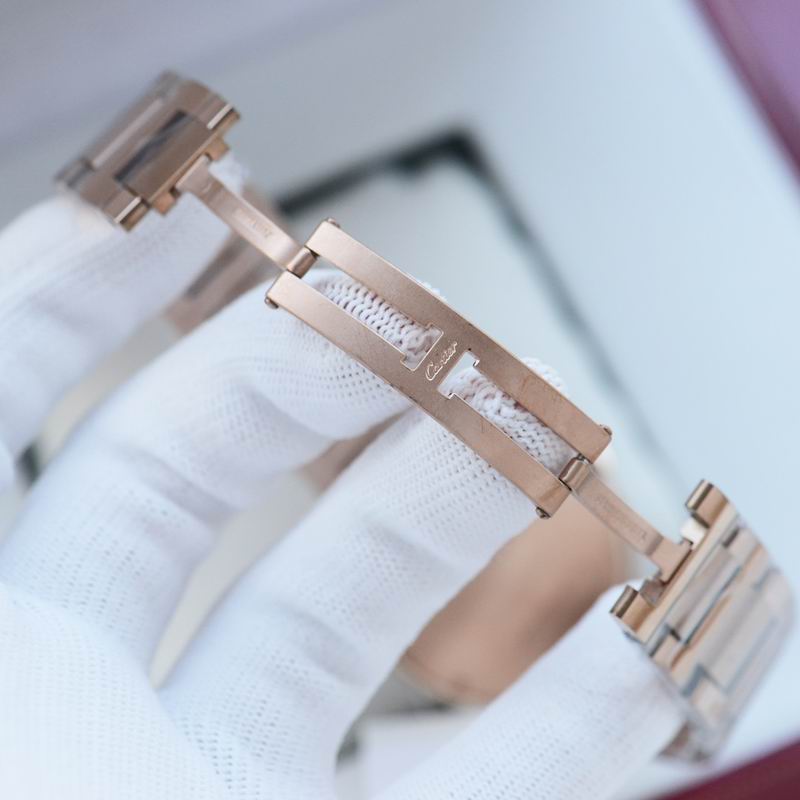 Cartier 36X10mm 33 (10)
