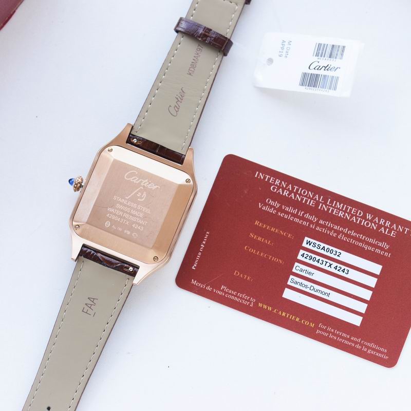 Cartier 39.5X10.8mm 34 (1)