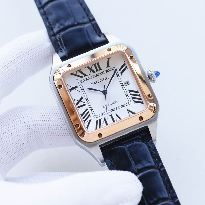 Cartier 39.5X10.8mm 34 (17)