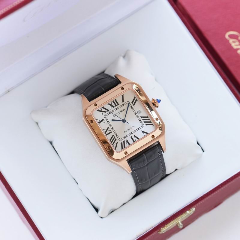 Cartier 39.5X10.8mm 34 (3)