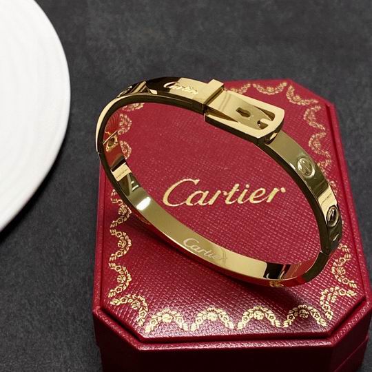 Cartier bracelet 10lyh147 (2)