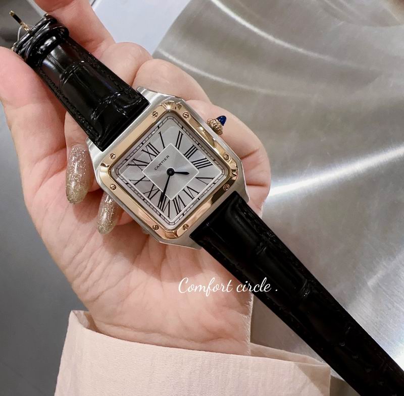Cartier watch 80 (4)