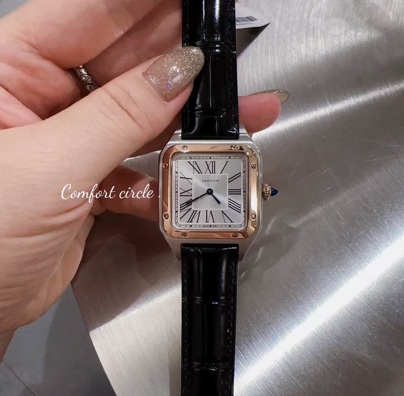 Cartier watch 80 (5)