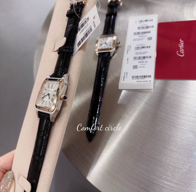 Cartier watch 80 (7)