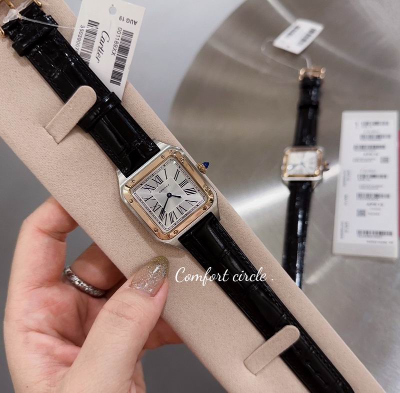 Cartier watch 80 (8)