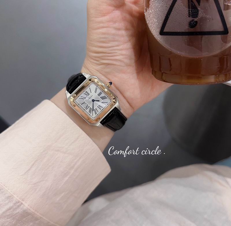 Cartier watch 80 (9)