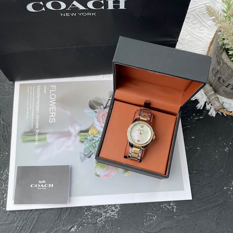Coach 30mm 43 (12)