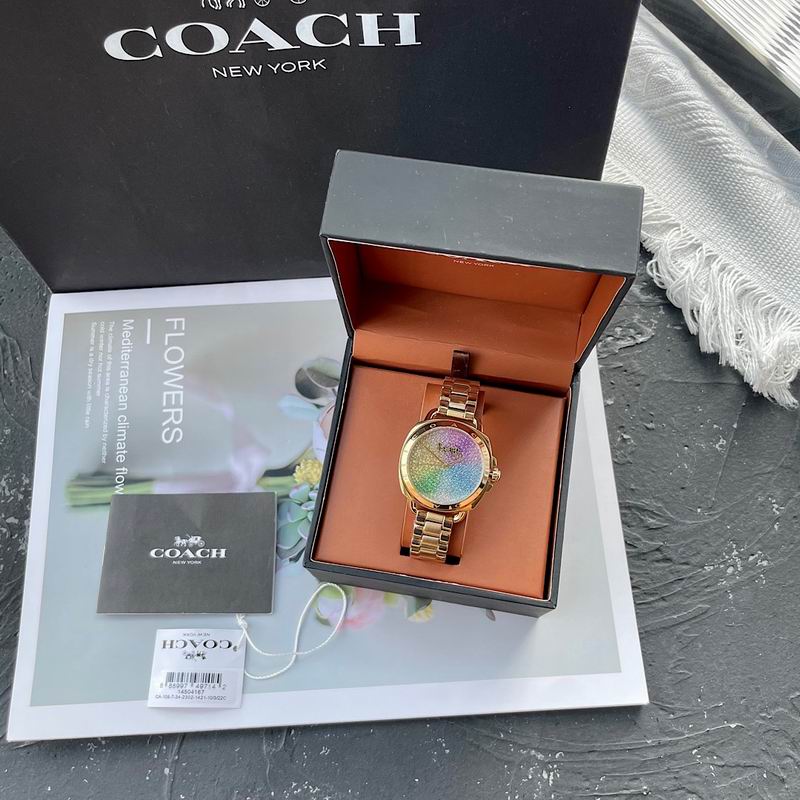 Coach 34mm 30 (5)