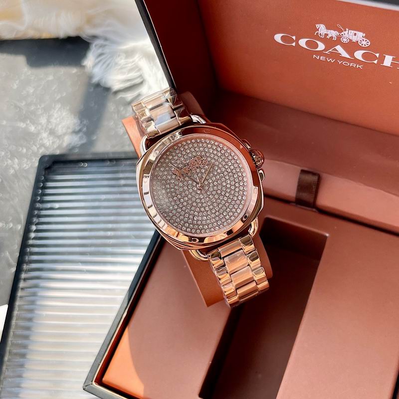 Coach 34mm 31 (4)