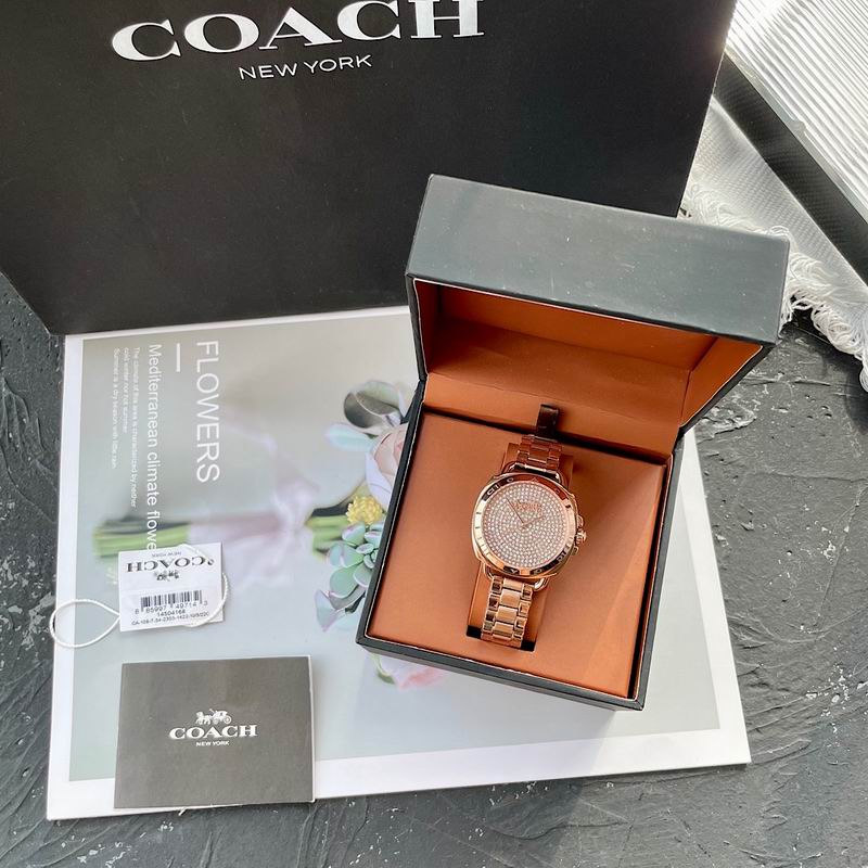 Coach 34mm 31 (6)