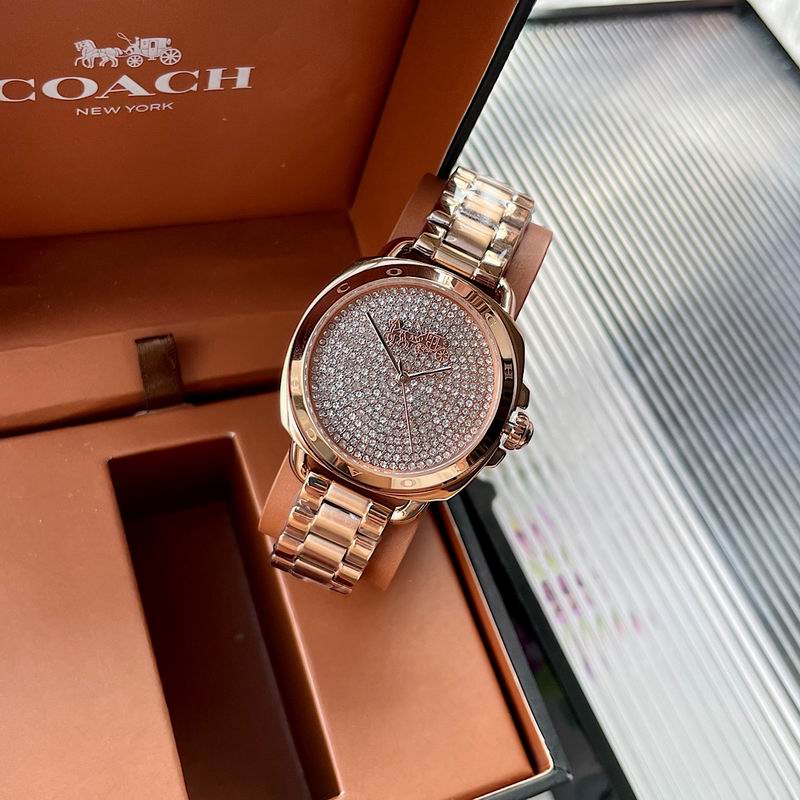 Coach 34mm 31 (8)