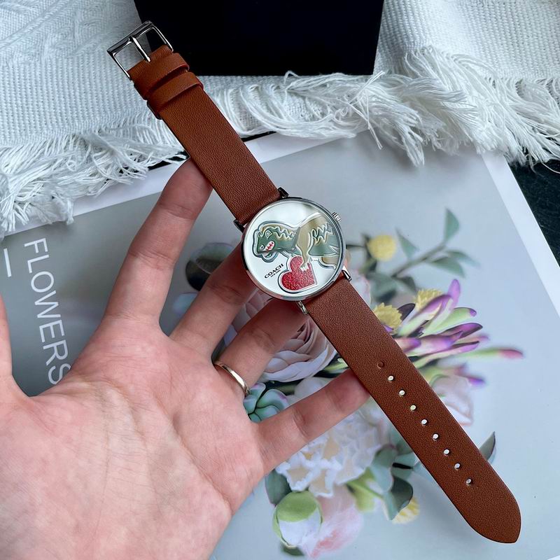 Coach 36mm 28 (8)
