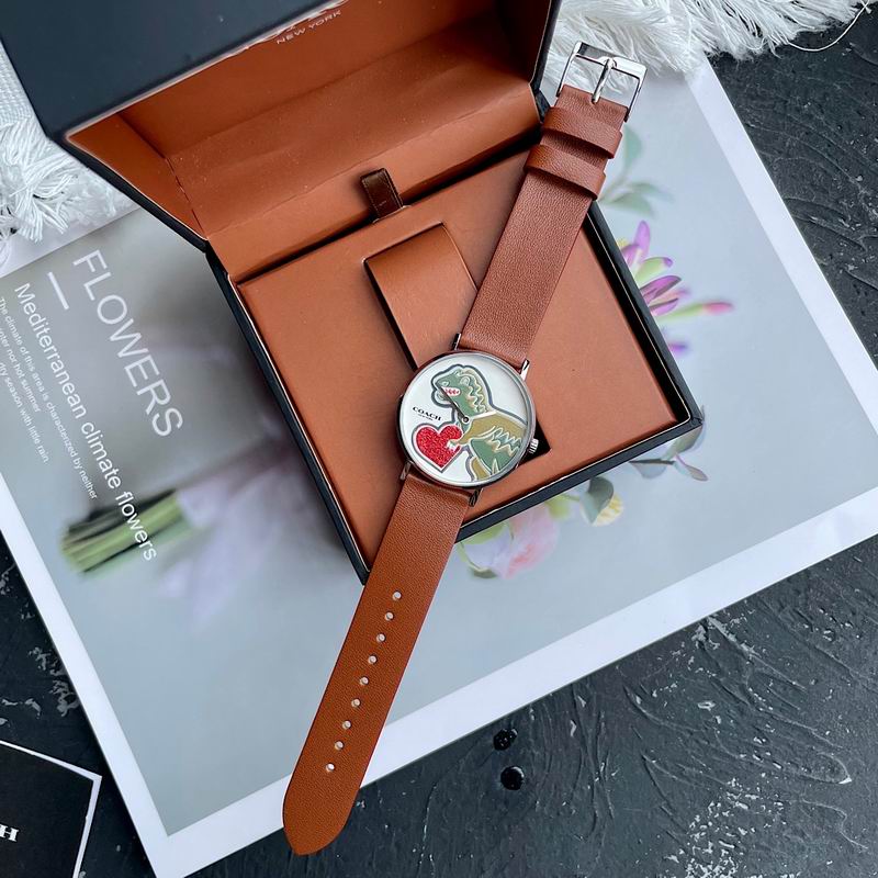 Coach 36mm 28 (9)