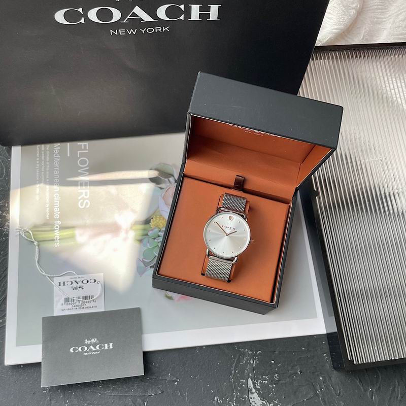 Coach 36mm 29 (18)