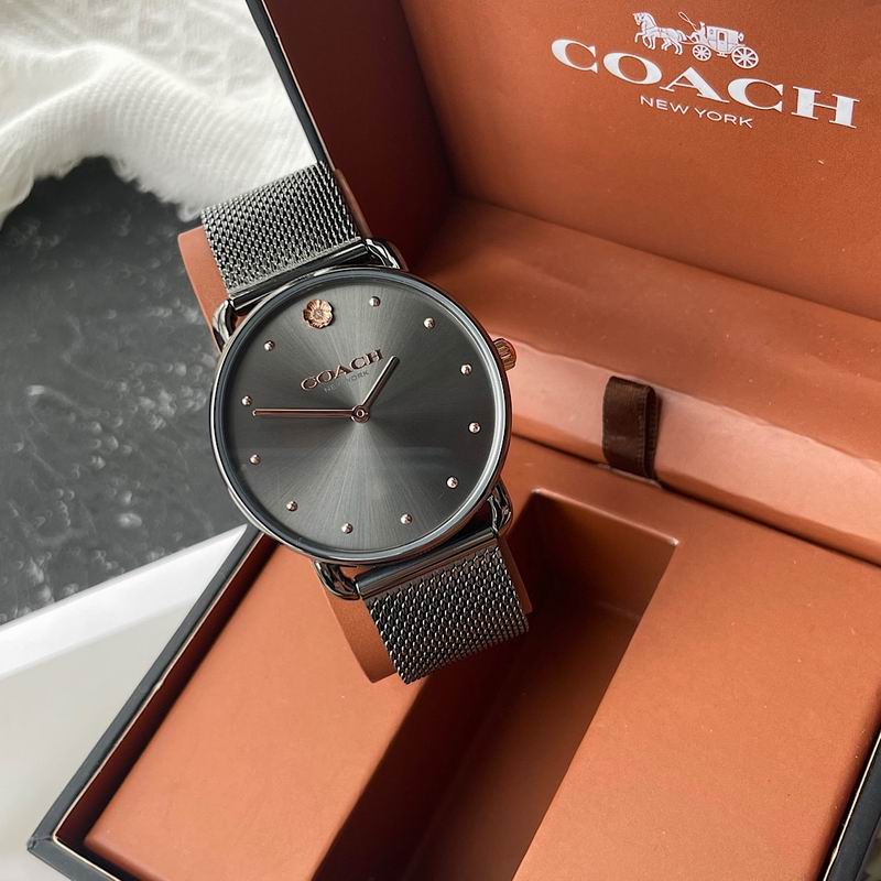 Coach 36mm 29 (23)