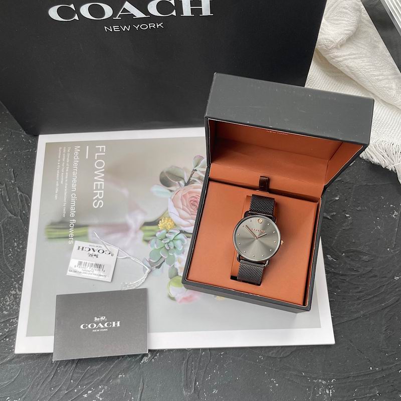 Coach 36mm 29 (27)