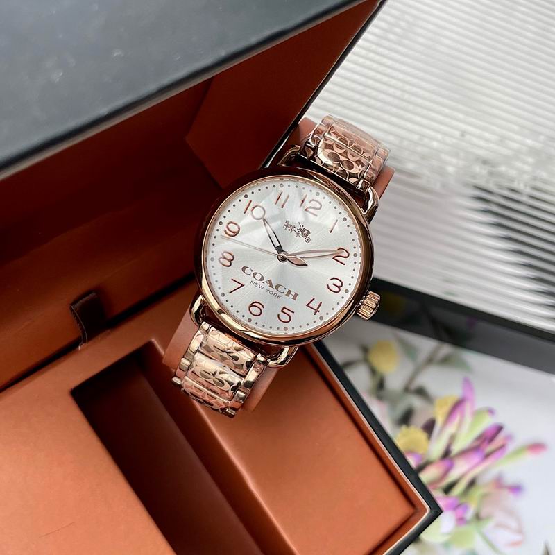 Coach 36mm 41 (6)