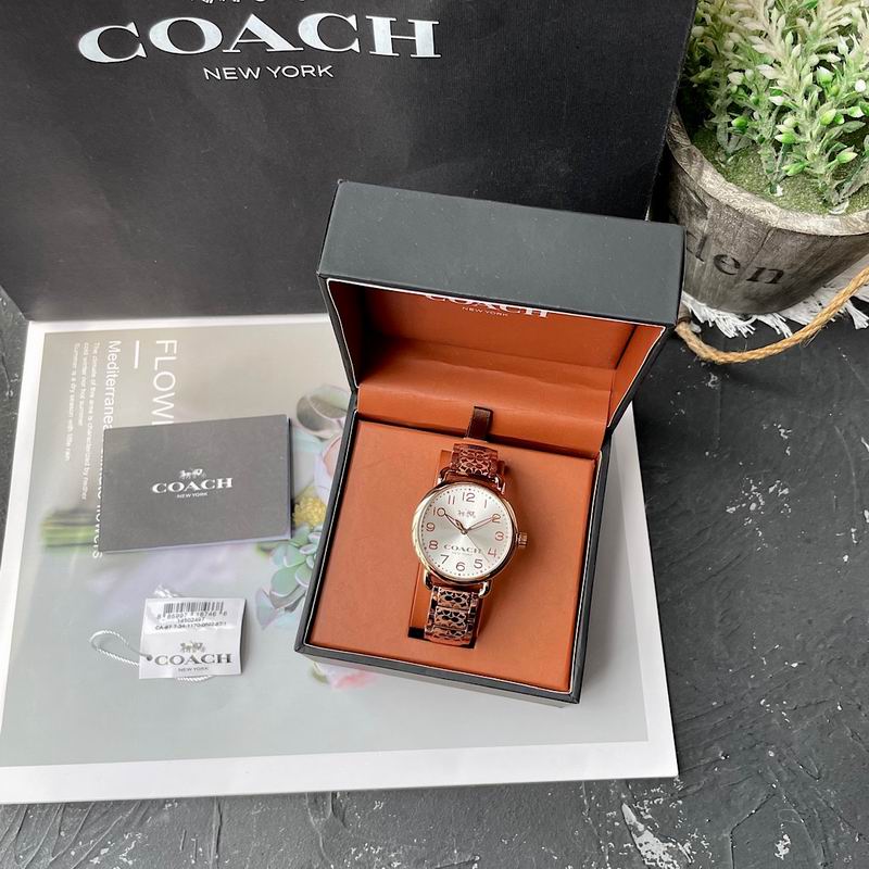 Coach 36mm 41 (8)