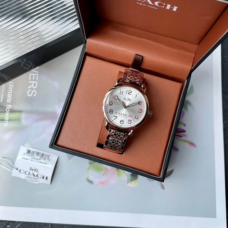 Coach 36mm 41 (9)