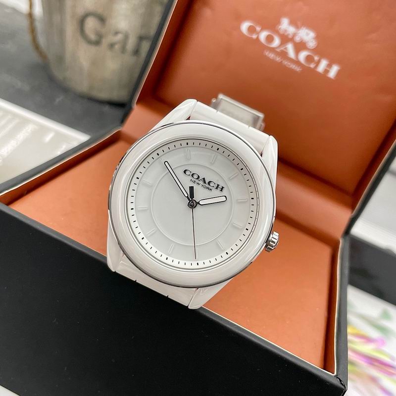 Coach 38mm 12 (15)