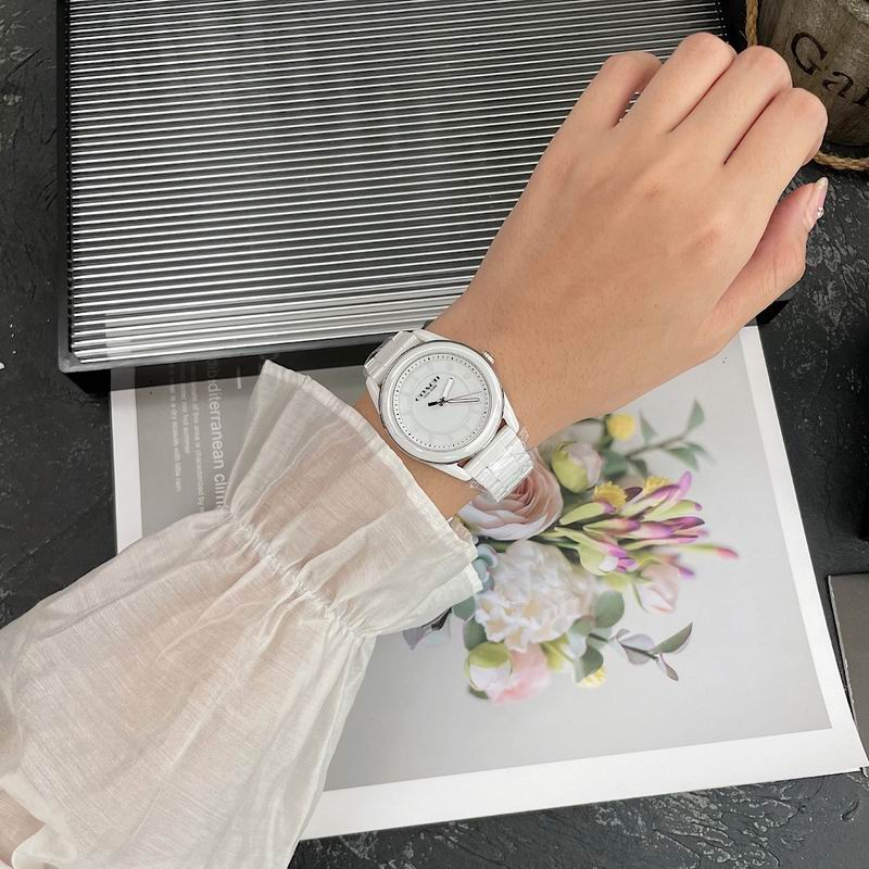 Coach 38mm 12 (17)