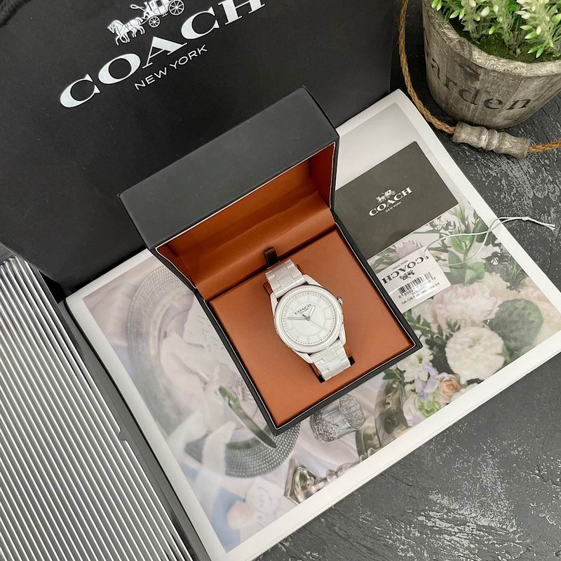 Coach 38mm 12 (18)