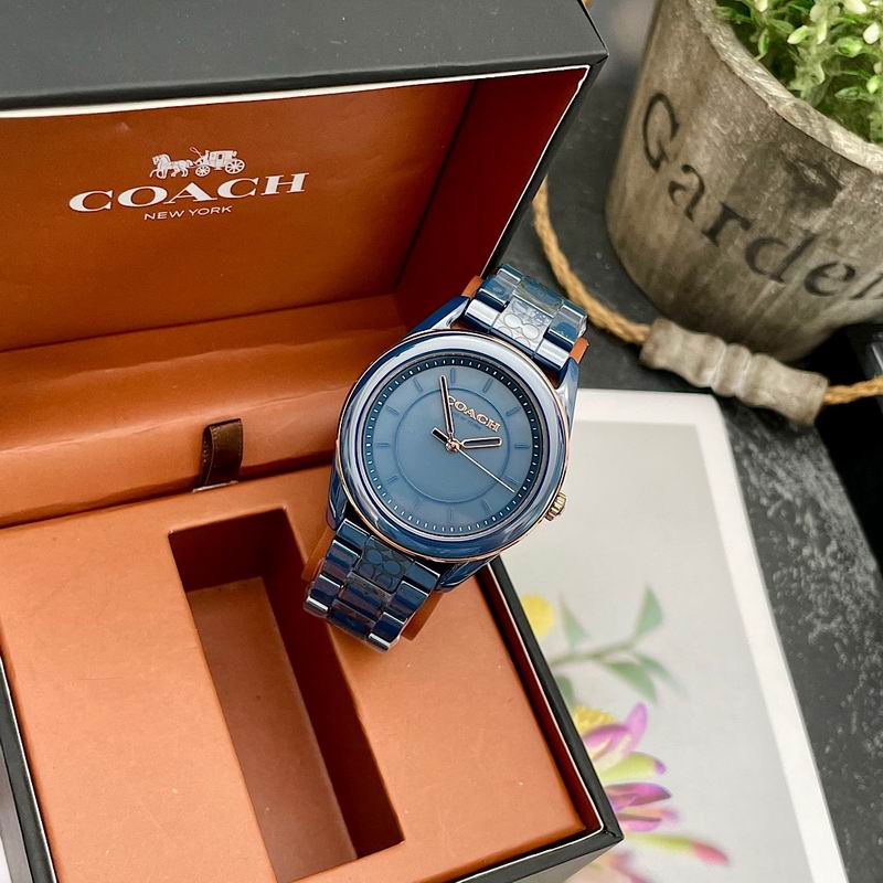 Coach 38mm 12 (25)